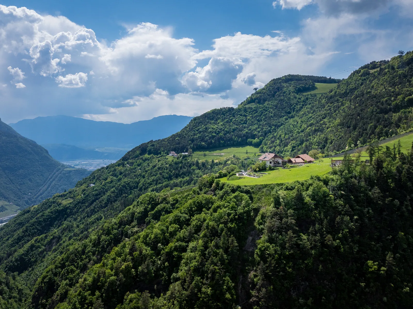 Spornberg Mountain Living — 1